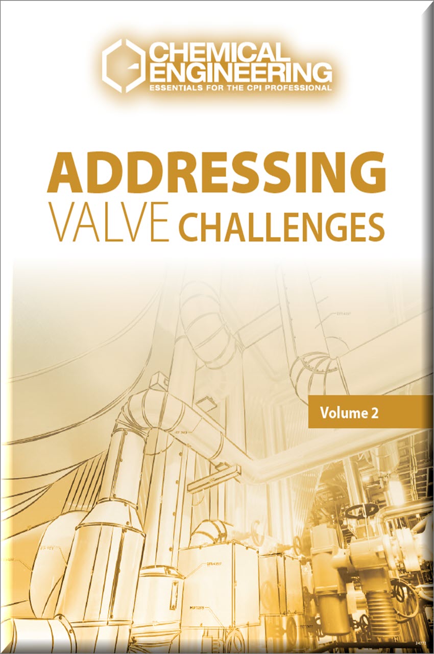Cover of Addressing Valve Challenges- Volume Two
