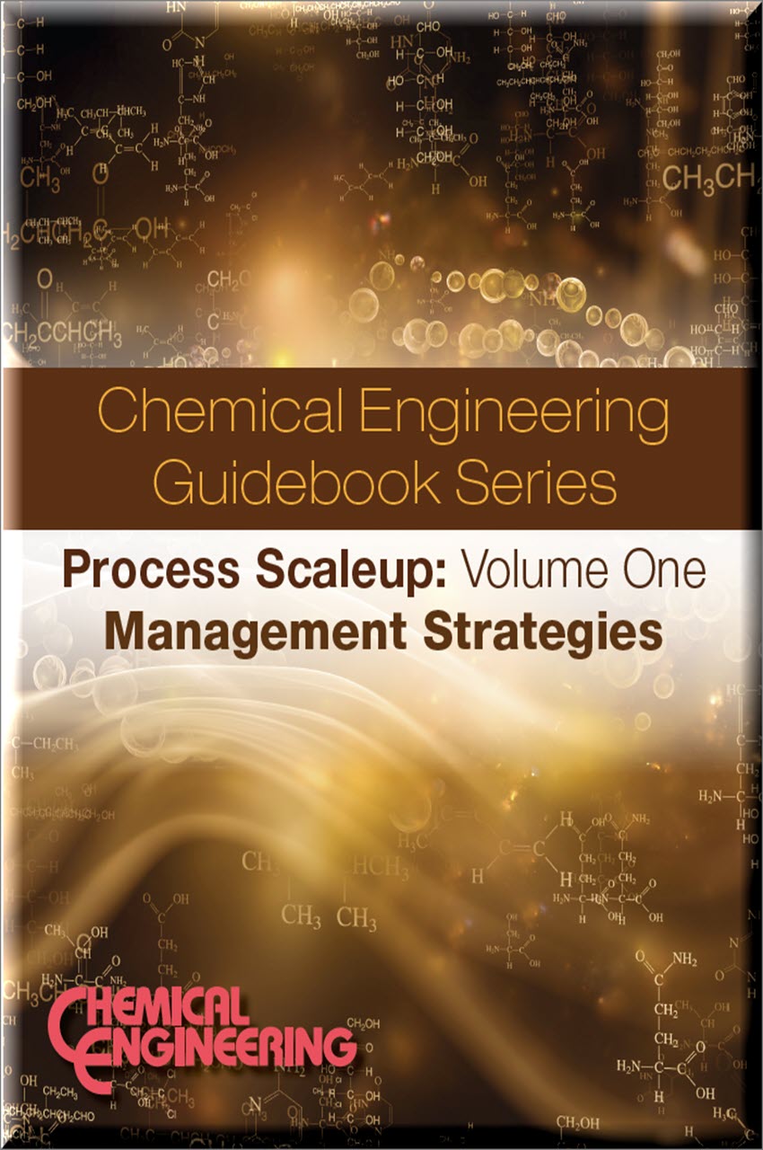 Cover of Process Scaleup: Volume 1 - Management Strategies
