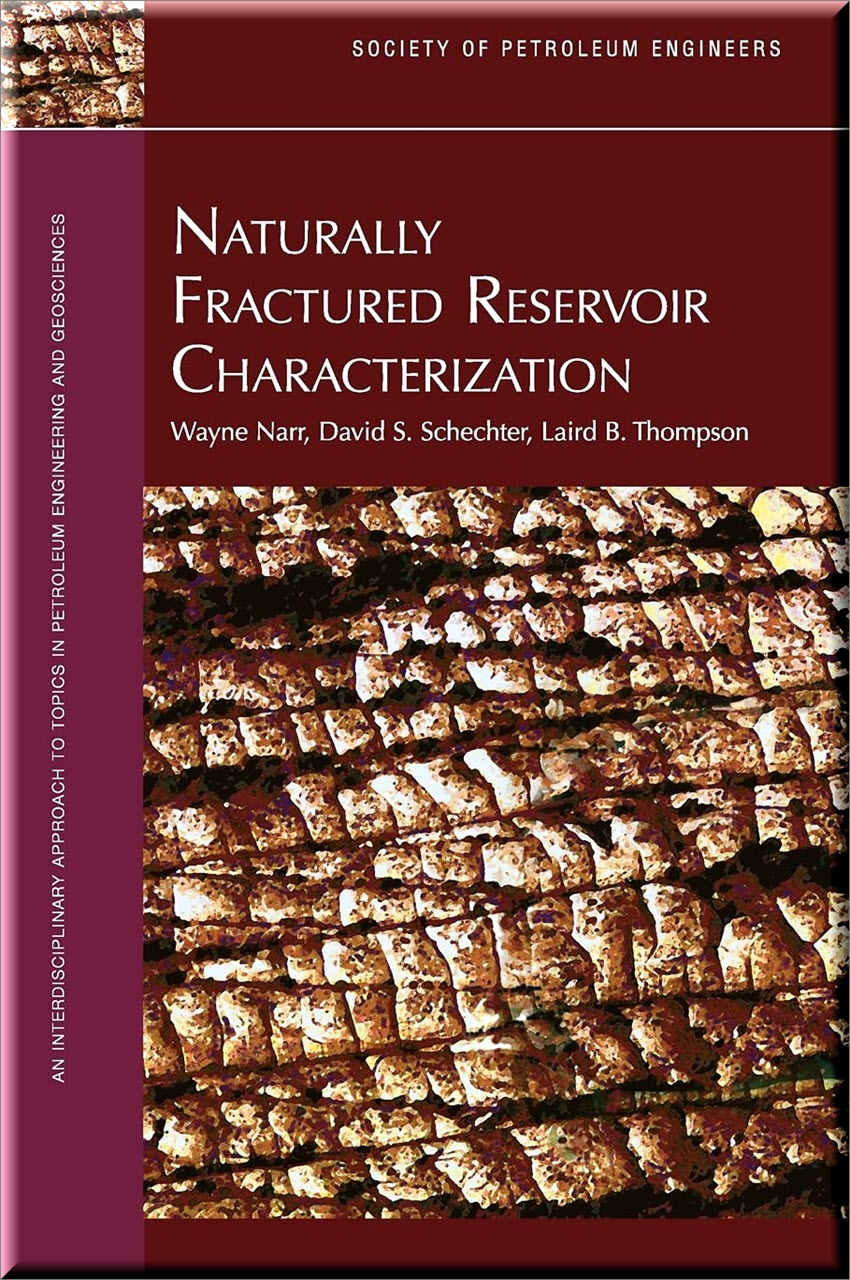 Cover of Naturally Fractured Reservoir Characterization