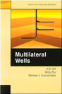Cover of Multilateral Wells