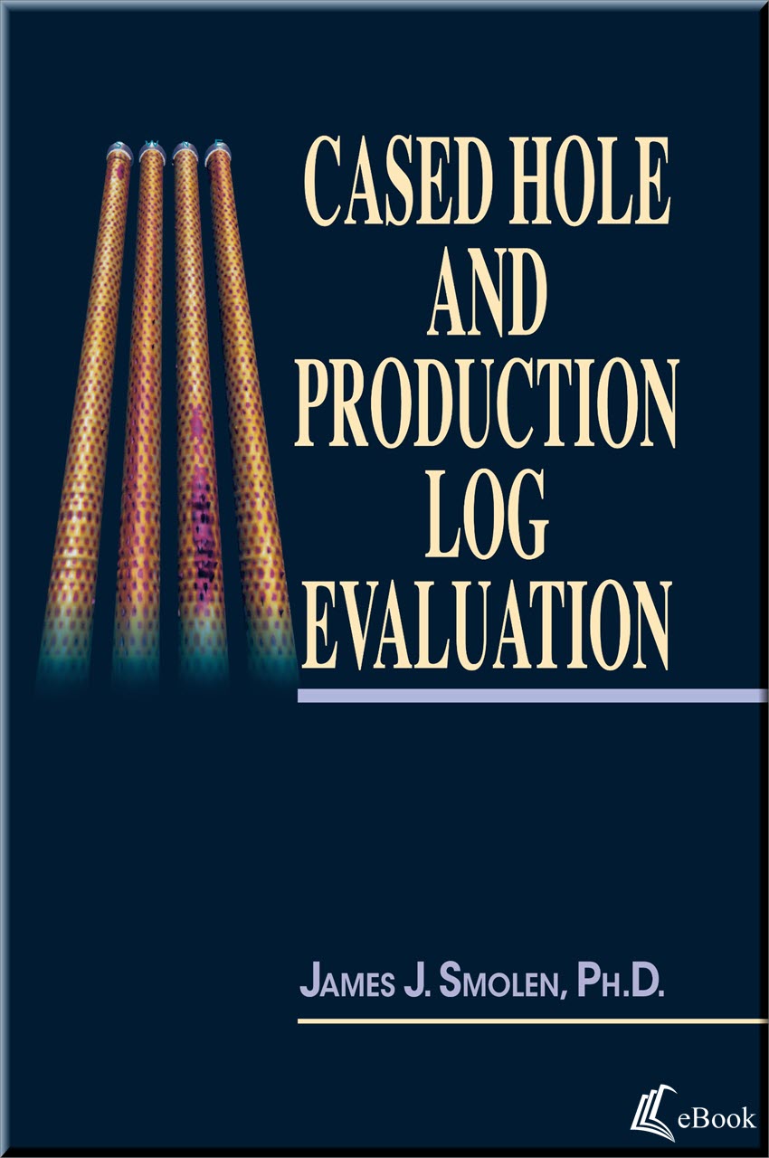 Cover of Cased Hole and Production Log Evaluation