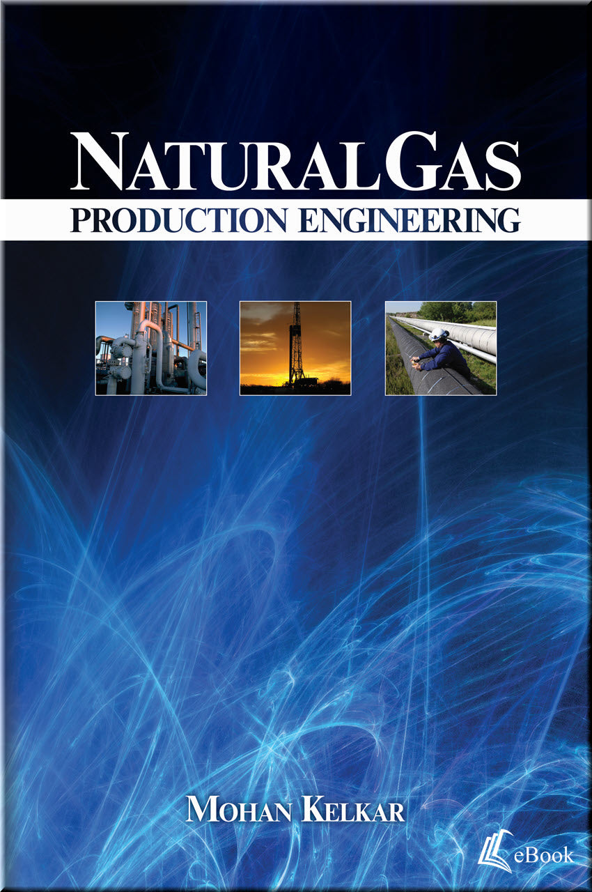 Cover of Natural Gas Production Engineering
