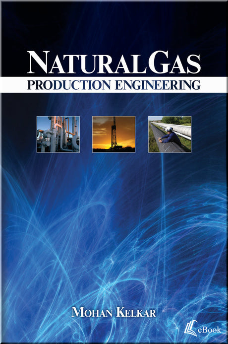 Cover of Natural Gas Production Engineering
