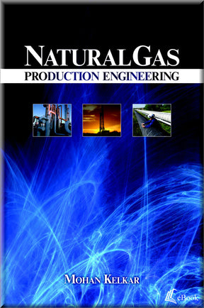 Cover of Natural Gas Production Engineering