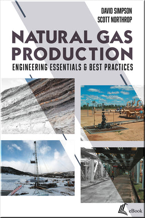 Cover of Natural Gas Production: Engineering Essentials & Best Practices