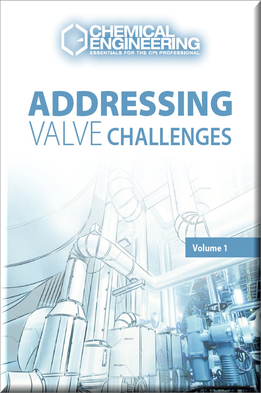 Cover of Addressing Valve Challenges- Volume One