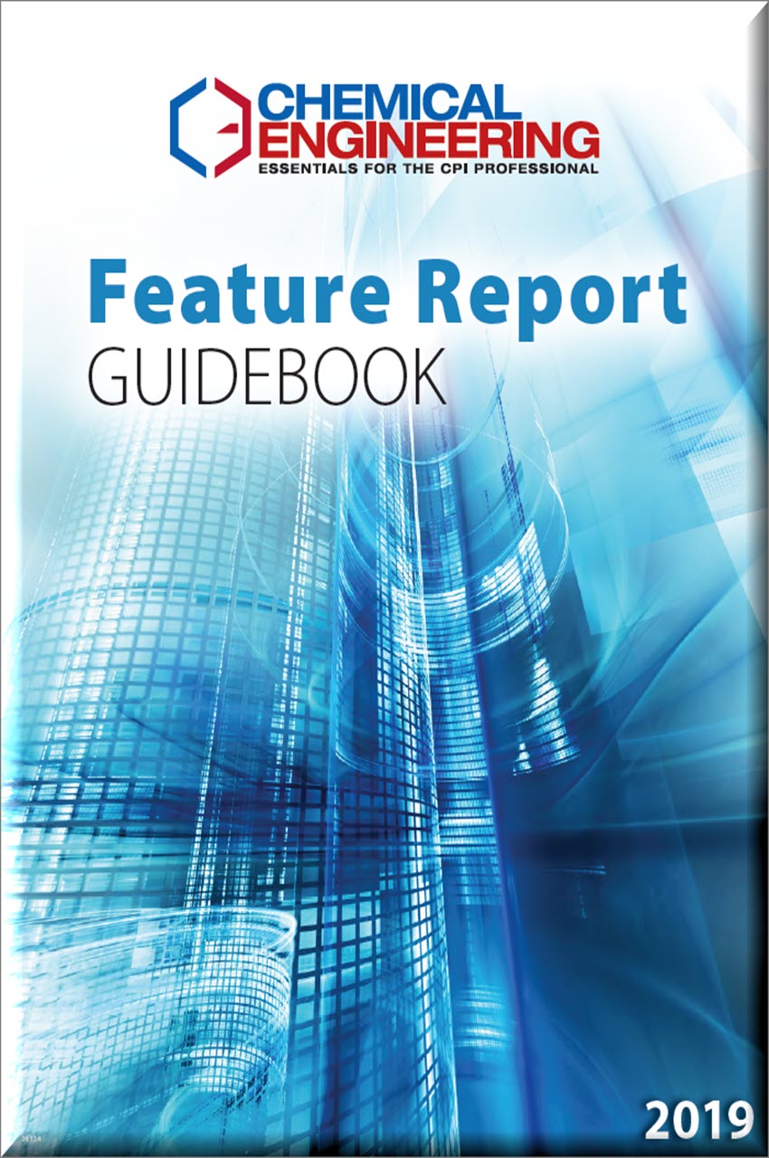Cover of Feature Report Guidebook- 2019