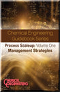 Cover of Process Scaleup: Volume 1 - Management Strategies
